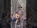 Swamp Music - Skynyrd