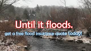 Free Flood Insurance Quote by Save Flood Insurance Agency
