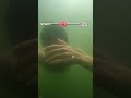 動画と一緒に息止めチャレンジ!!︎3周出来る人は超人!?