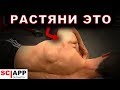 Растяжка Которая Исправит Твои Плечи | Джефф Кавальер