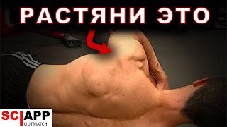 Растяжка Которая Исправит Твои Плечи | Джефф Кавальер