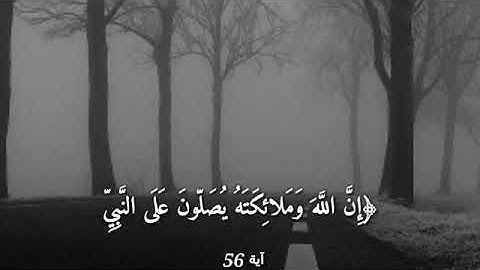 قرآن كريم بصوت القارئ: سعد الغامدي || أجمل حالات واتس اب دينيه || تلاوة خاشعة 🌿