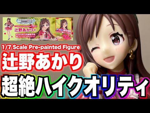 辻野あかり】2万円以上の価値のあり！約4年の時を経て「辻野あかり」1