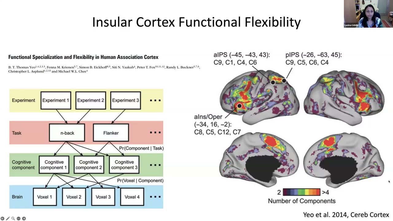 Prof. Lucina Uddin from UCLA discusses her views on brain networks as studied with functional MRI