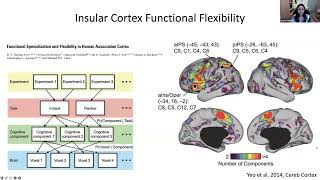 Prof. Lucina Uddin from UCLA discusses her views on brain networks as studied with functional MRI