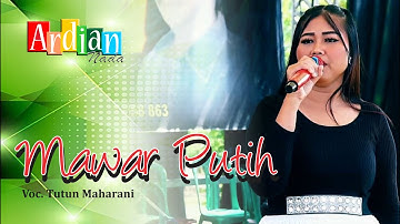 MAWAR PUTIH - TUTUN MAHARANI II ARDIAN NADA II DESA LAMARANTARUNG BLOK WALEDAN KARANGMALANG