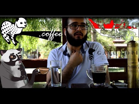 Dünyanın En Pahalı Kopi Luwak Kahvesini Denedim