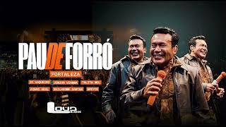 Zé Cantor Pau de Forró (CD Atualizado) Repertório Novo 2026 - LoudCDs