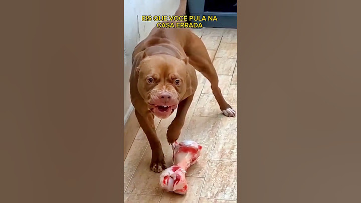 ELE PULOU NA CASA DO PITBULL 😱 #shorts