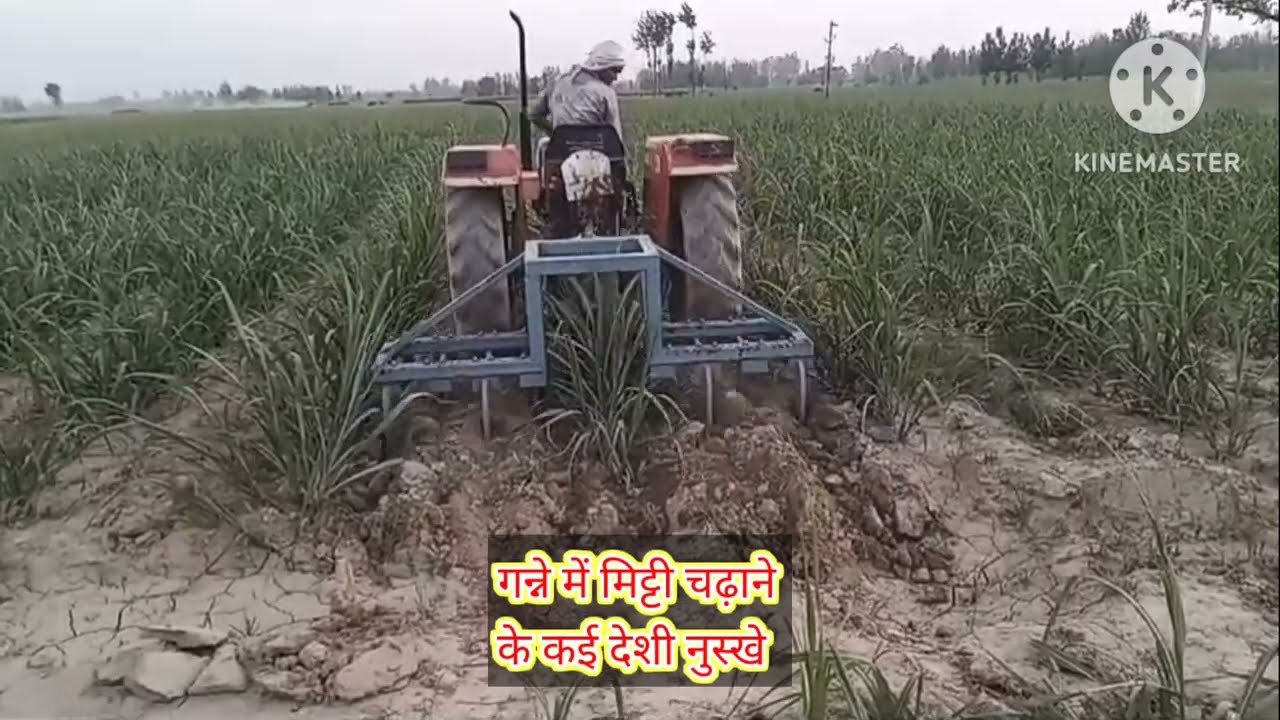 गन्ना फसल में अब लेवर लगाने की झंझट होगी खत्म,किसान साथी अपनाएं यह तरीका