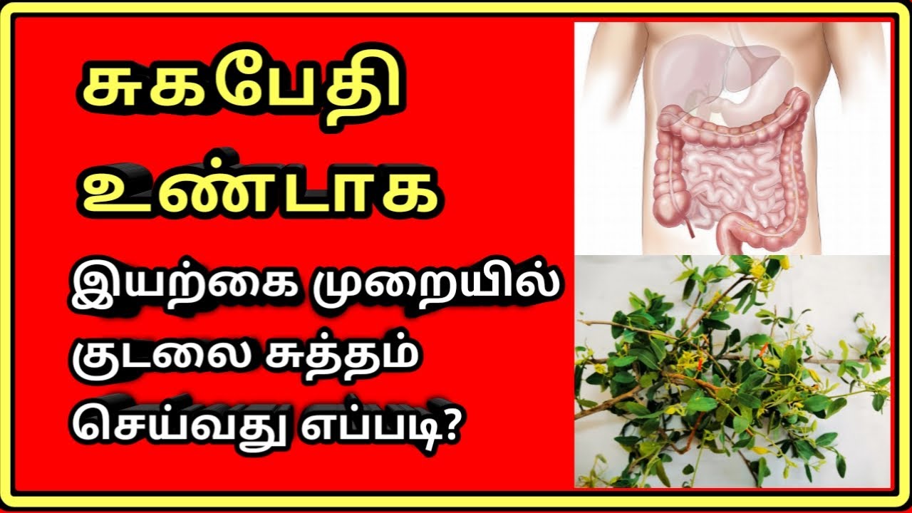 இயற்கை முறை பேதி how to clean stomach tamil Tamil Thanithuvamm