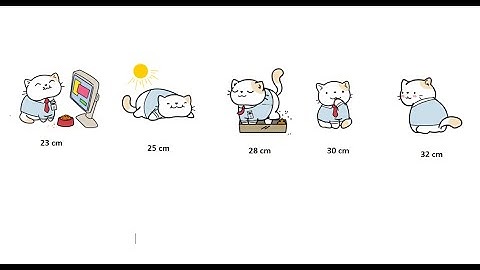 Selection Sort | Introduction | Part 1