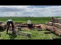 Chainsaw Mill | Sawing old oak Guide