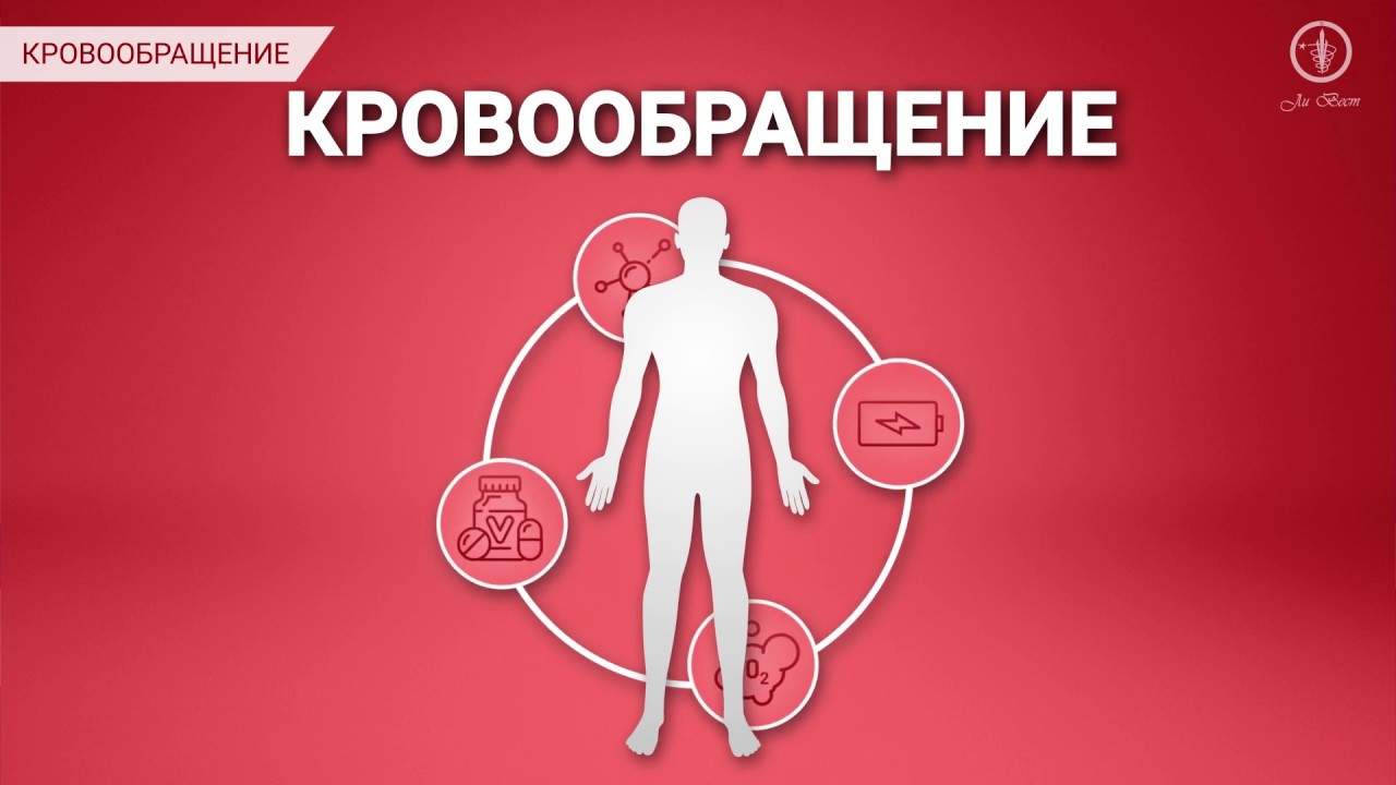 Корпорация ли вест официальный
