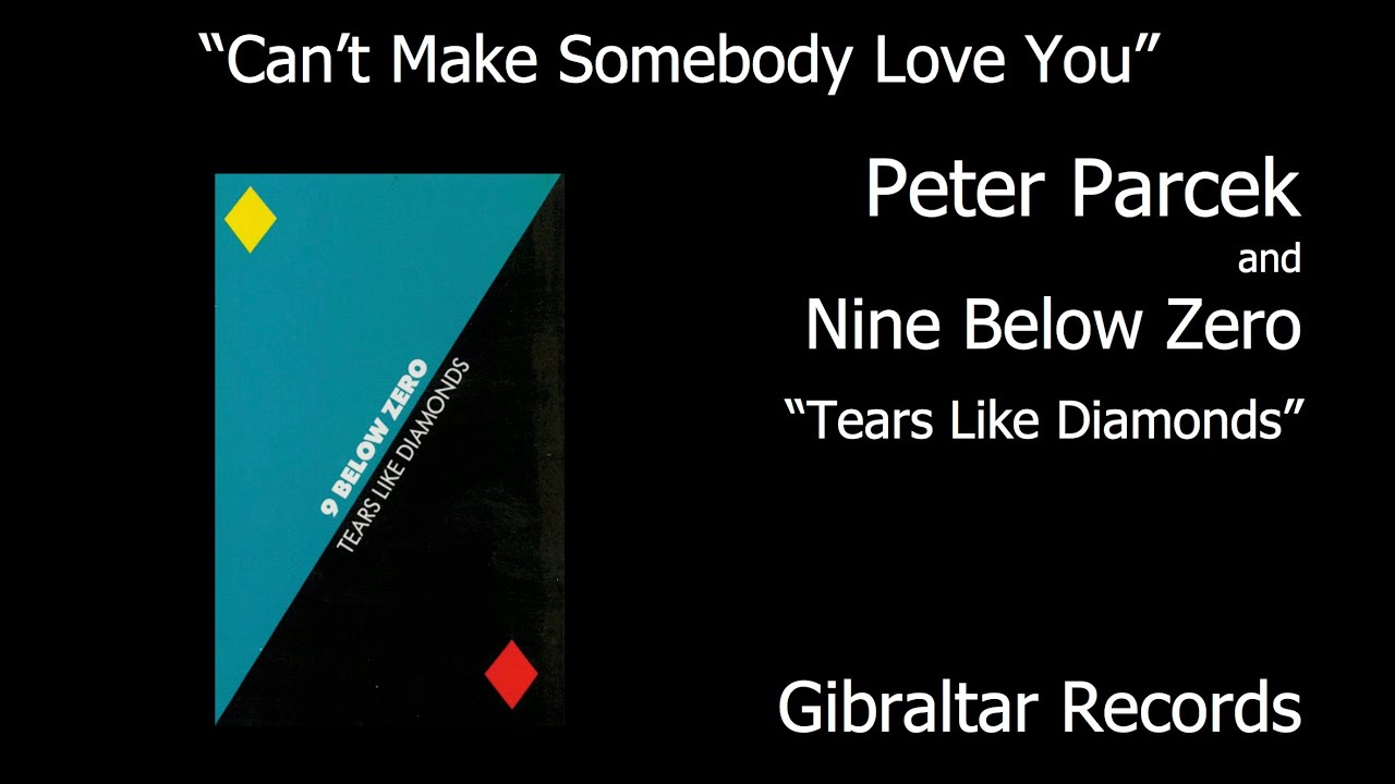 Peter Parcek and Nine Below Zero "Can't Make Somebody Love You"