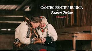 CANTEC PENTRU BUNICA- NEGATIV ( Andreea Haisan )