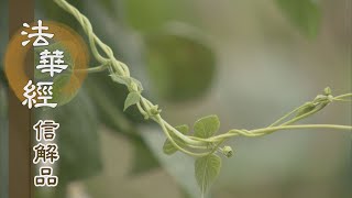 【靜思妙蓮華】法華經信解品 - 不受大化 不含萬德 - 20210407 第758集