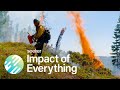 Understanding Dams and Their Impact