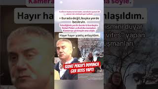 SEDAT PEKER İSMİNİ DUYUNCA GERİ VİTES YAPTI KEDİLERİ BESLİYEN VATANDAŞ'A BAŞKA BİR VATANDAŞ ÇIKIŞTI