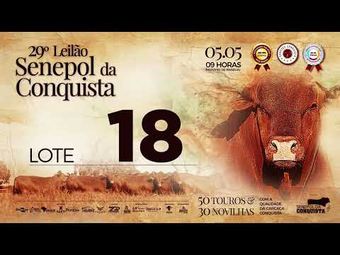 LOTE 18 CONQ 2679 - FÊMEA