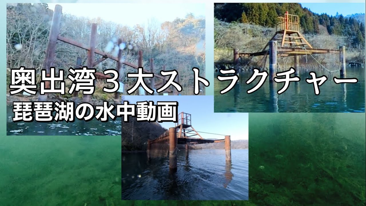 【琵琶湖の水中動画】ウィードが無くなってボトムを丸裸にしてみた