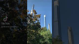 Details Where to Find Fall Foliage in Central Park #shorts Update