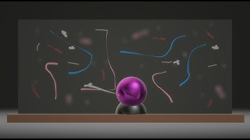 The Fortune Teller  | Short Film |