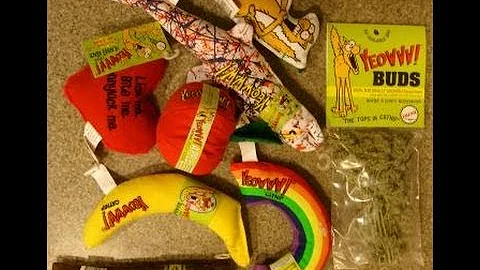 Ragdoll Kittens Try Out Yeowww! Catnip Bud ねこ - ラグドール - Floppycats