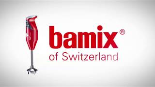 Bamix Immersion Blender – Product Use and Care