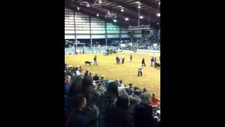 Hunter Humble Rodeo
