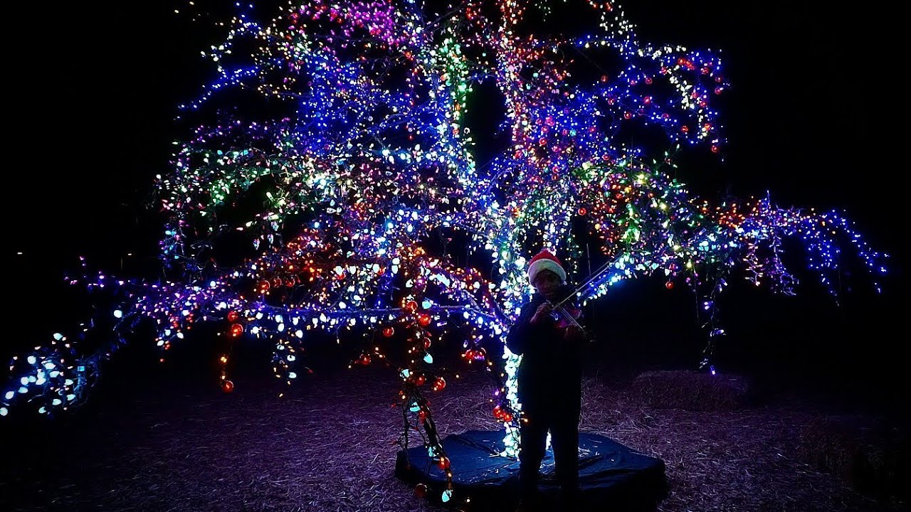 Tidings of Comfort and Joy to You and Yours!