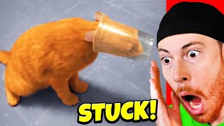 Reacting to the FUNNIEST Animal Fails
