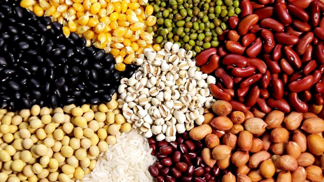 Health Tips From Our Vascular Surgeons