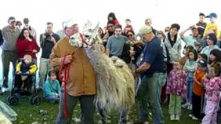 Sheepshearing Festival, 2008
