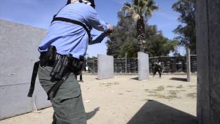 Deputies train on surviving armed, life-or-death confrontations