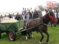 Concurs de cai la sărbătoarea localității Curtișoara, Olt