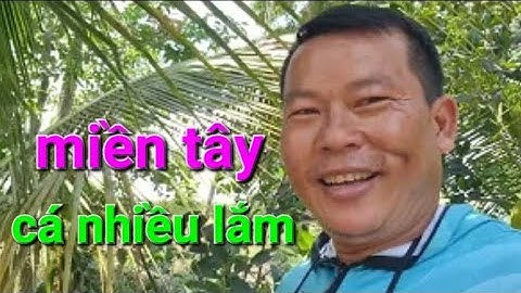 câu cá rô đồng mùa lúa trổ bông cá mập ú nhìn phát thèm