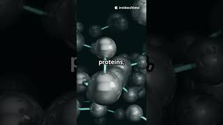 Unlocking the Secrets of Life: From Atoms to Organ Systems.
