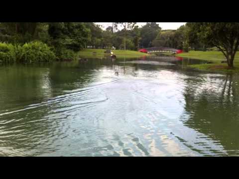 FT007 Race Boat Maiden @ Bishan / AMK Park (18th May 2013)