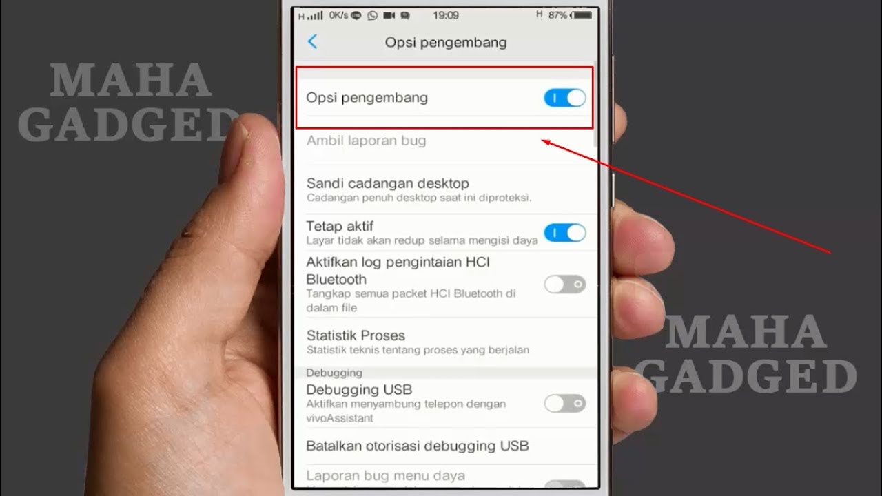 Cara Aktifkan Opsi Pengembang Hp Vivo Tanpa Root Youtube