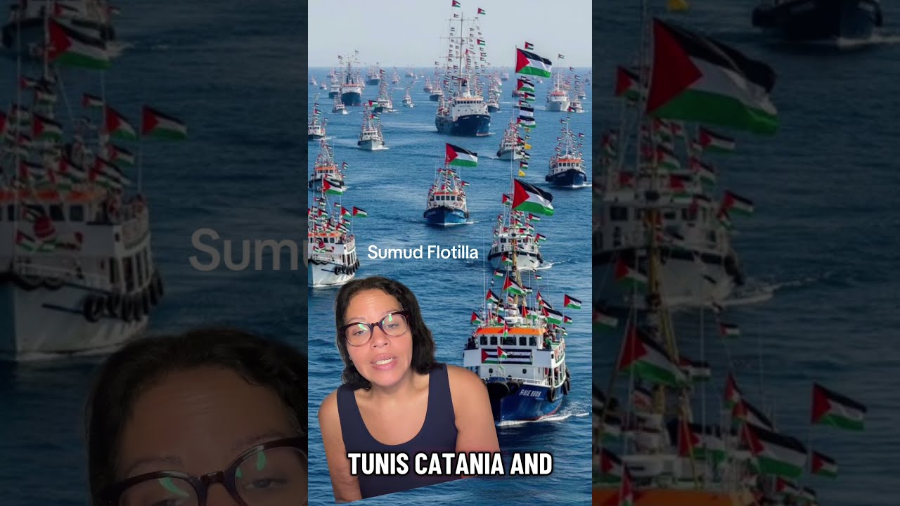 The Sumud Flotilla What Is It And Why This Being Suppressed