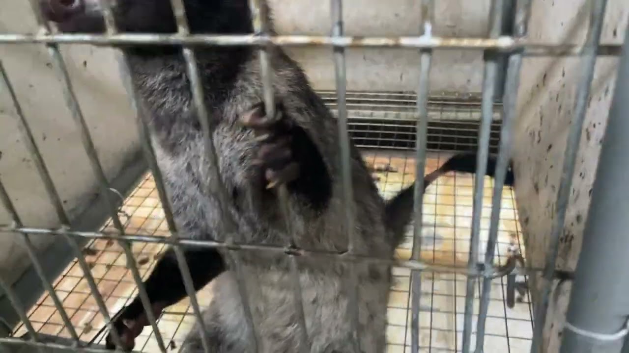 ngày 11 tháng 10, 2025