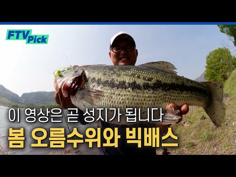 비도 오고 그래서 배스 생각이 났어.. 봄 오름수위에 빅배스 타작하는 박기현 [FTVpick]