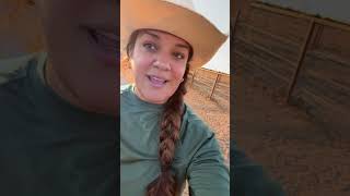 Mis amigas 🥰😍🙏🏼#viral #caballos #mula #rancho #mule