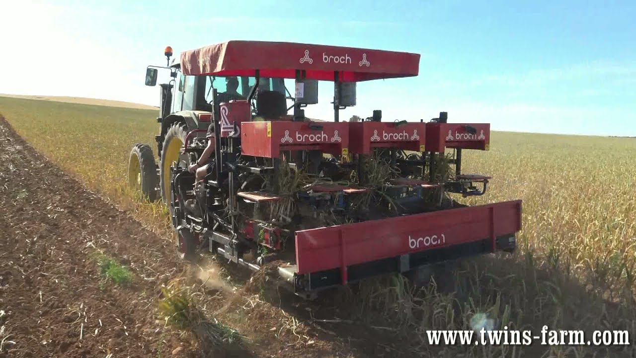 🧄Уборка чеснока с помощью подборщика-опрокидывателя Broch