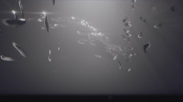 Sketch #2 - Niagara Fish Boids Simulation Audiovisualiser - Unreal Engine 5