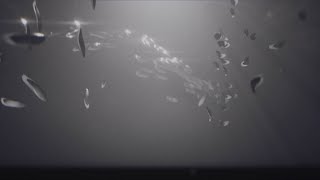 Famous Sketch #2 - Niagara Fish Boids Simulation Audiovisualiser - Unreal Engine 5 Net Worth