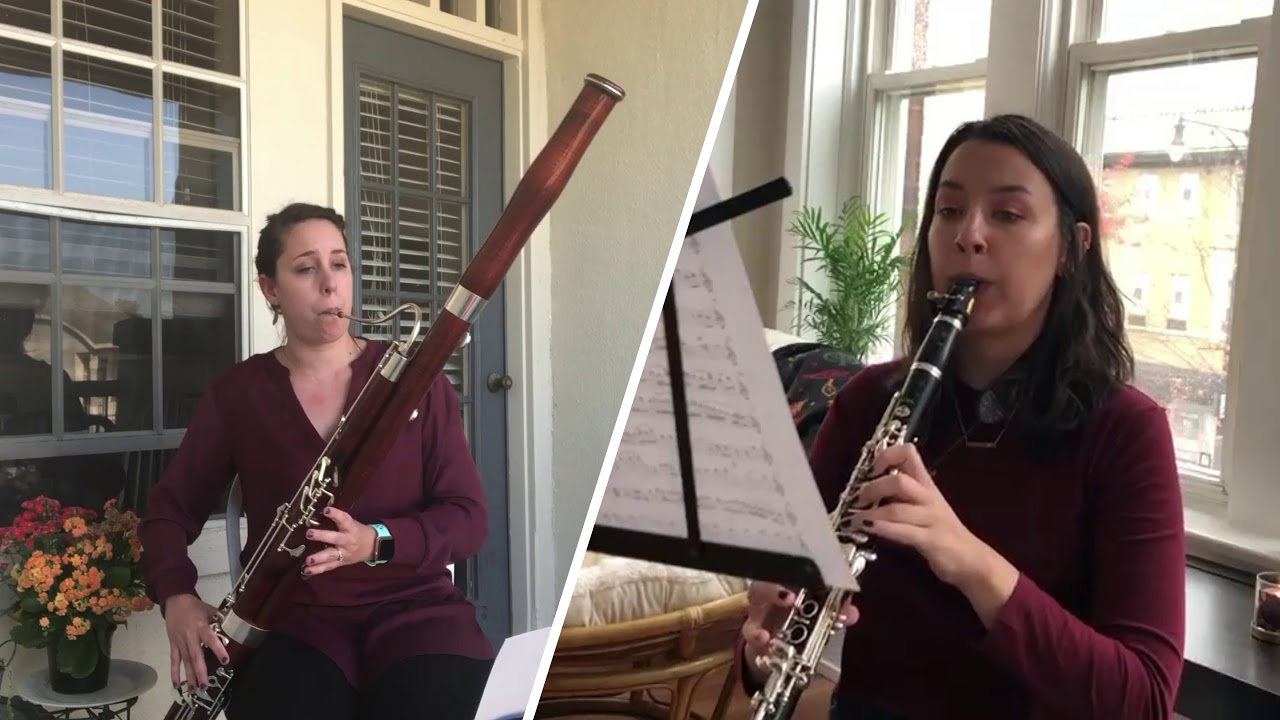 Beethoven Duet No. 3 for and Bassoon YouTube