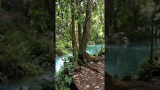 Otak aik Tojang desa lendang nangka