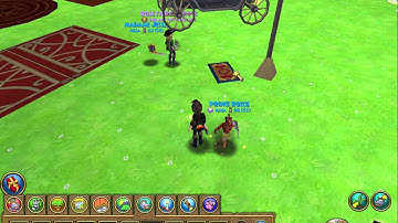 Wizard101: How to float and adjusting floating objects